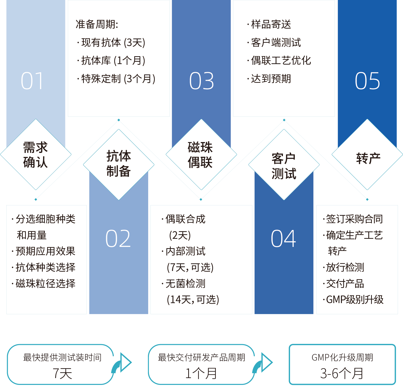 同立海源细胞分选激活磁珠/分选磁珠定制，定制流程
